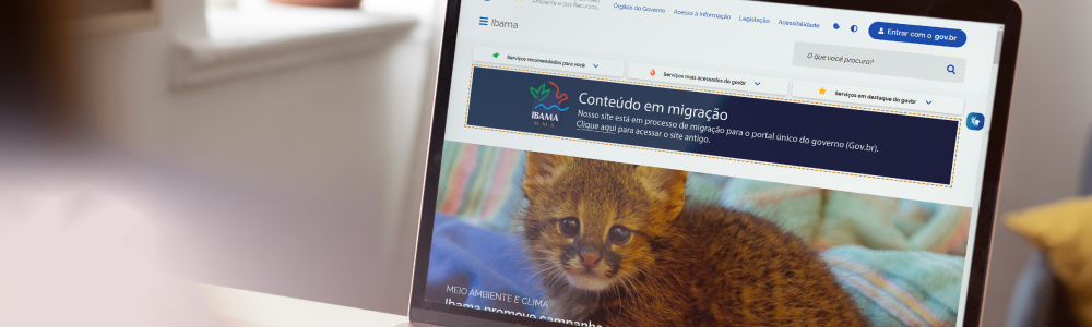 IBAMA DISPONIBILIZA NOVA FERRAMENTA DE MELHORIA PARA O RAPP