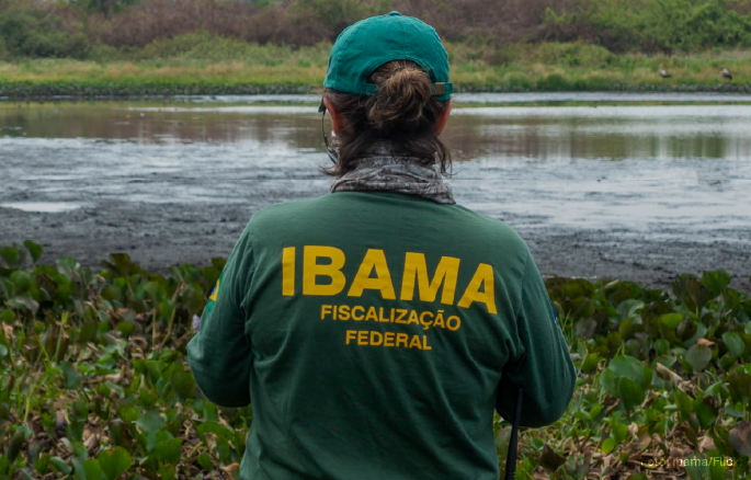 STJ reafirma a incidência da competência supletiva do IBAMA em caso de omissão do órgão ambiental licenciador.