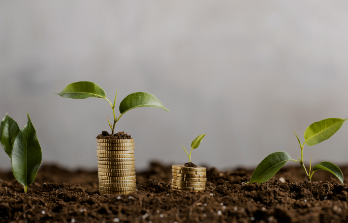 Ibama institui Plano de Ação para Protestos Extrajudiciais das Multas Ambientais.