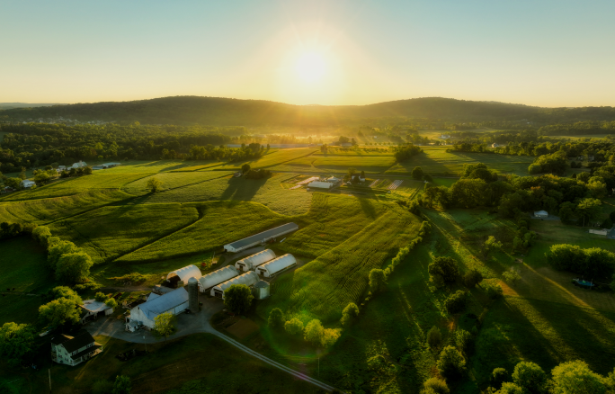 CONAMA estabelece critérios para a emissão de Autorizações de Supressão de Vegetação.
