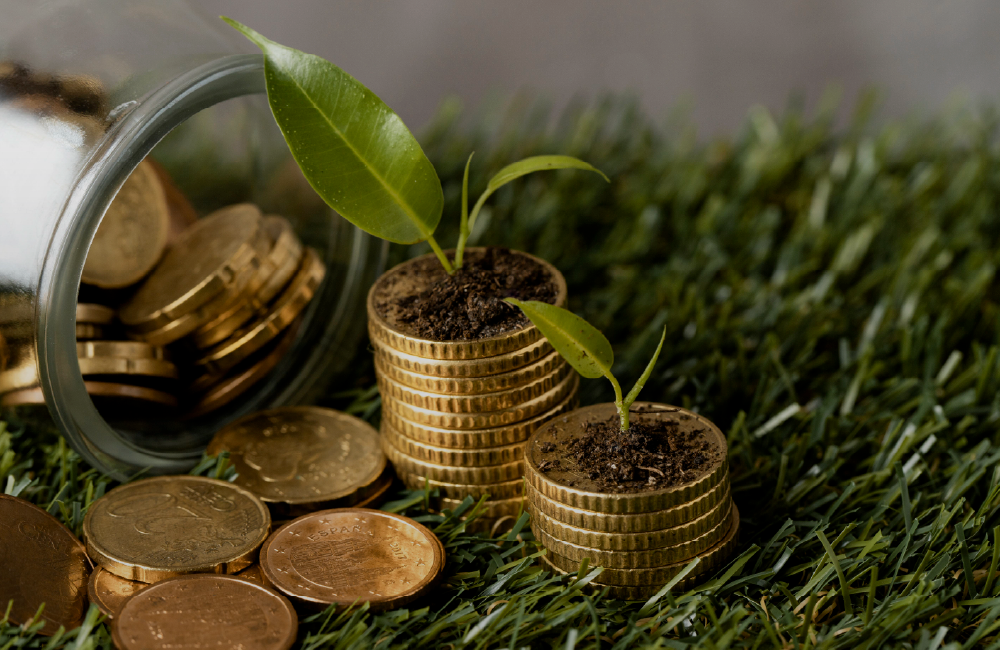 Créditos de Carbono: Decreto Federal faculta a escolha da metodologia para certificação em florestas públicas.